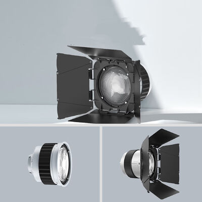 F10 Fresnel Lens Universal Bowen Mounts Studio Light Condenser for Photography Light leverancier