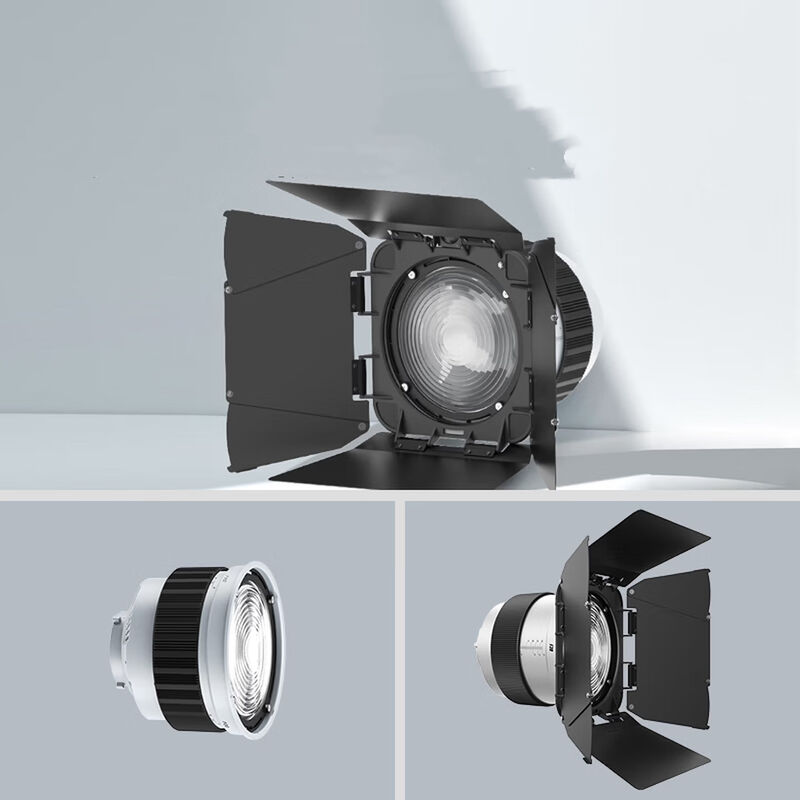 F20 Fresnel Lens Universal Bowen Mounts Studio Light Condenser for Photography Light leverancier